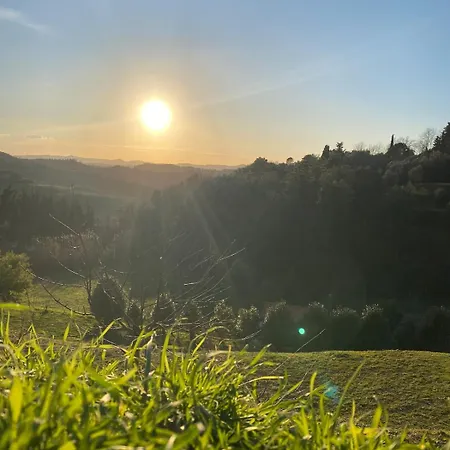 Ferienhaus La Casa Gialla Usigliano